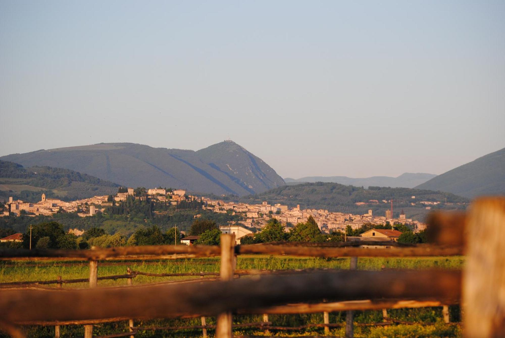 Agriturismo Il Barco Spello Exterior photo