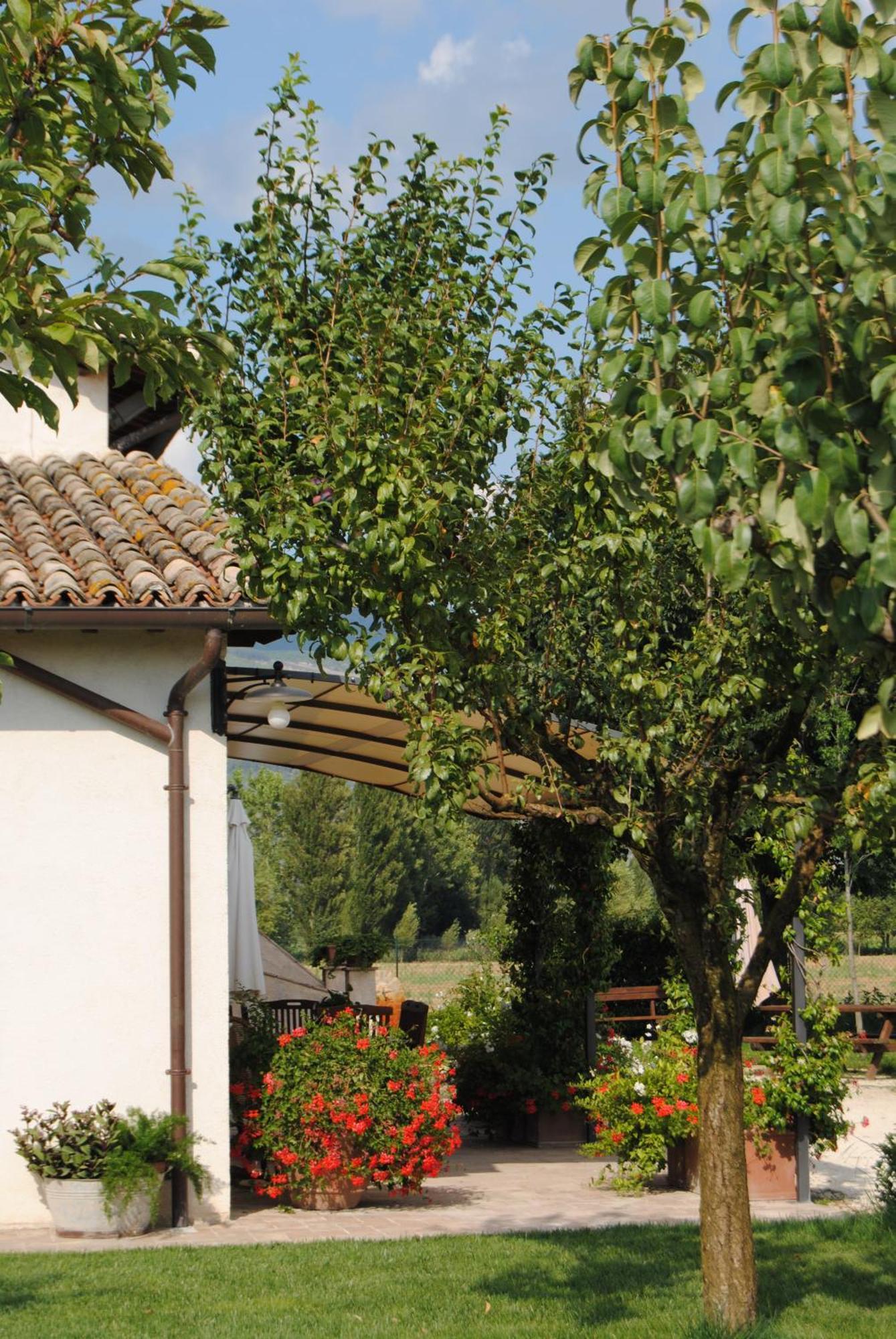 Agriturismo Il Barco Spello Exterior photo